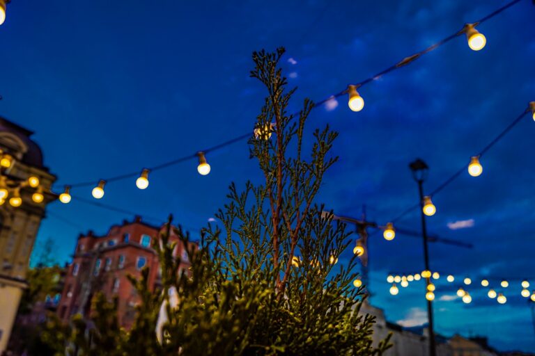 В Укренерго визначилися щодо відключень у вівторок